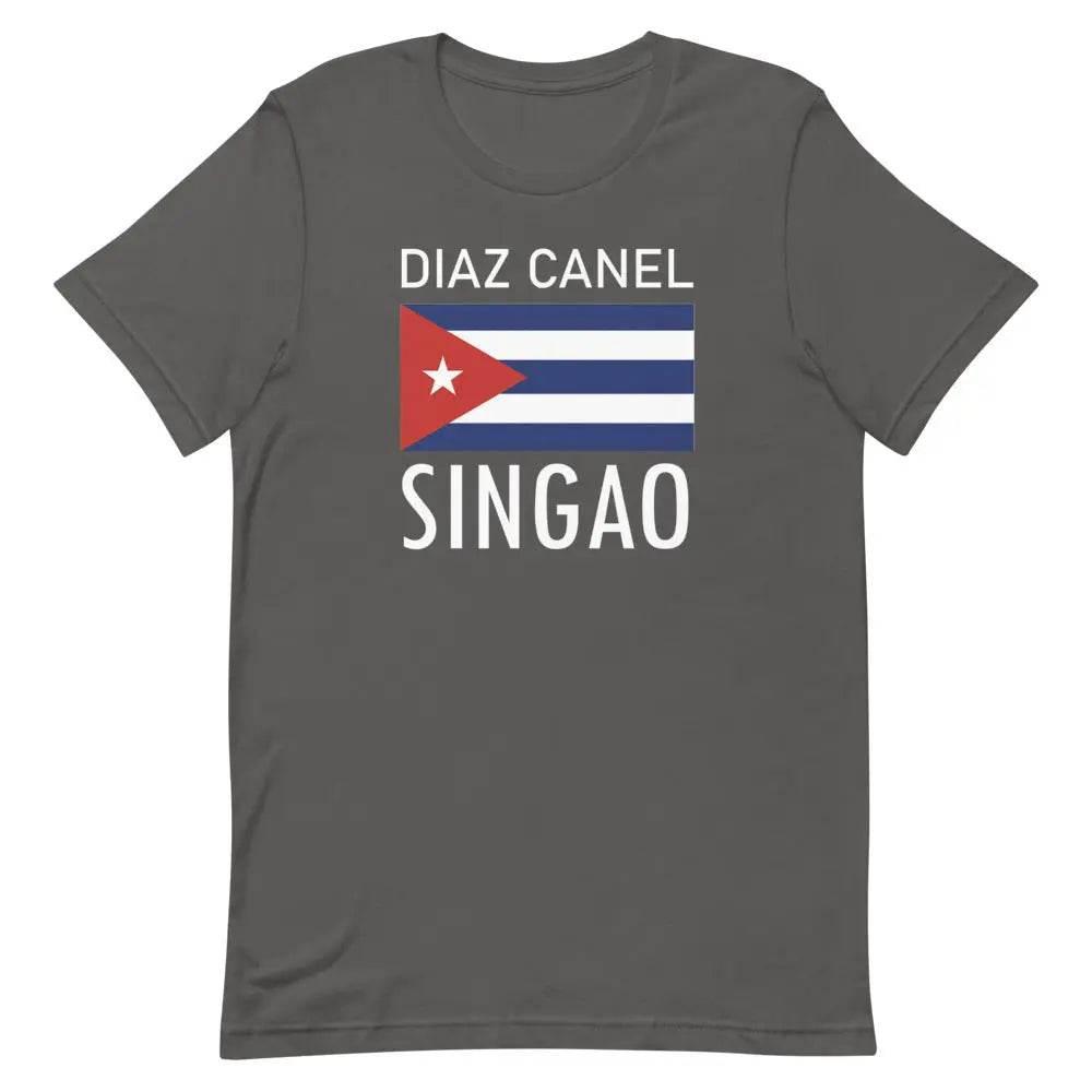 Diaz Canel Singao T-Shirt – Anti-Regime Cuban Protest Tee for Freedom &amp; Resistance