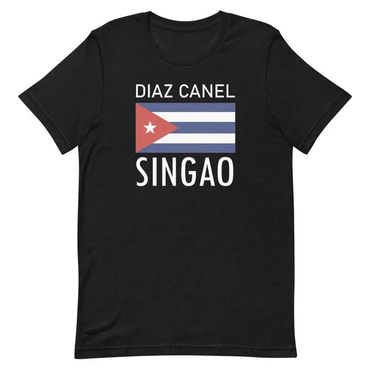 Diaz Canel Singao T-Shirt – Anti-Regime Cuban Protest Tee for Freedom &amp; Resistance